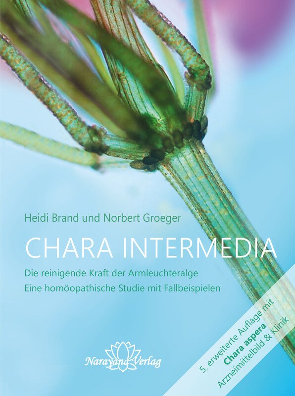 Chara intermedia