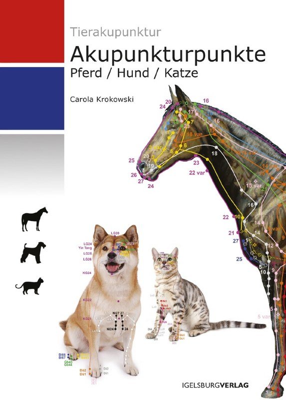 Akupunkturpunkte Pferd/Hund/Katze