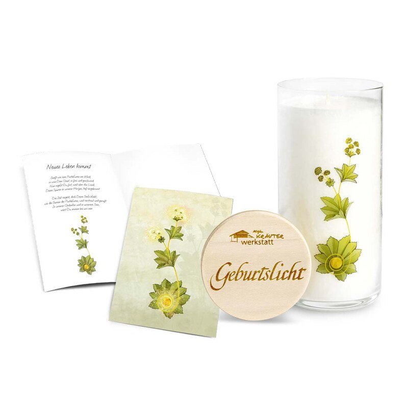 Heilkräuter Kerze Geburtslicht - Allgäu Kräuterwerkstatt