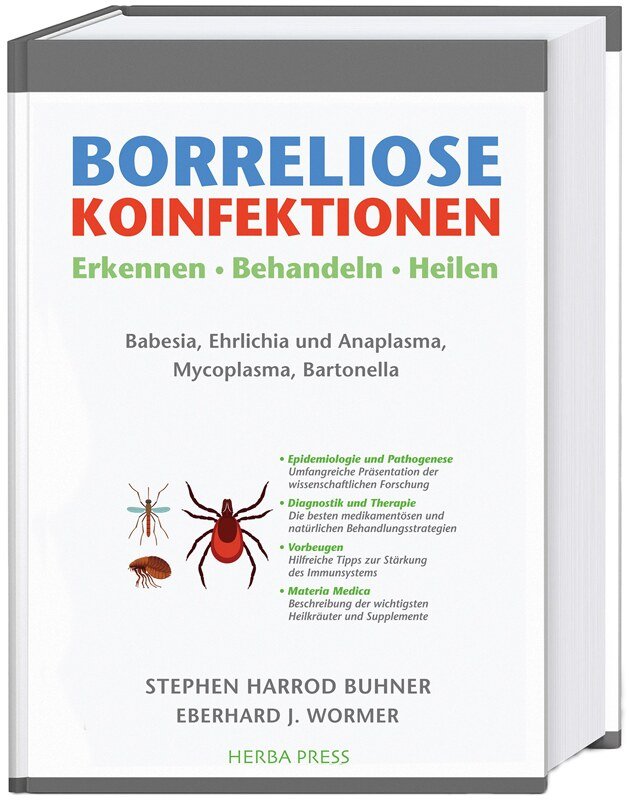 Borreliose Koinfektionen