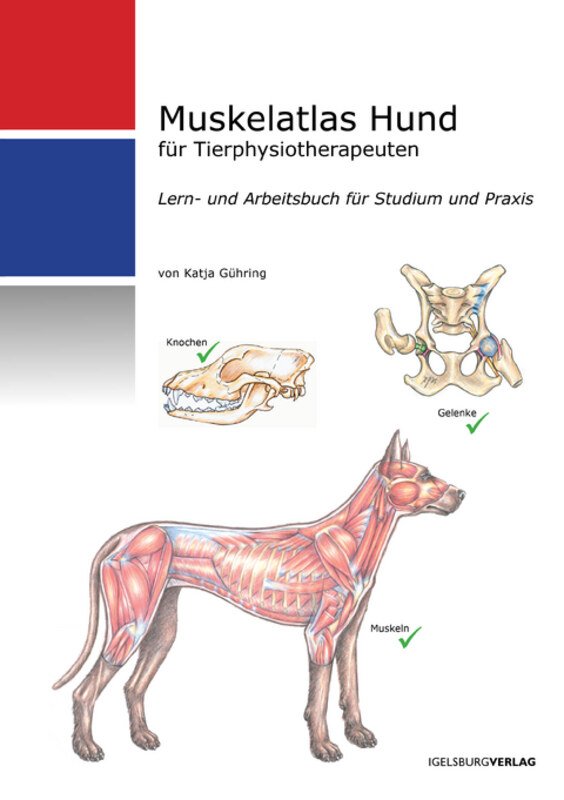 Muskelatlas Hund