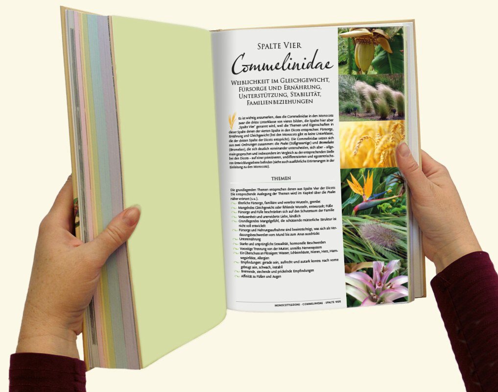 Die wundersame Ordnung der Pflanzen